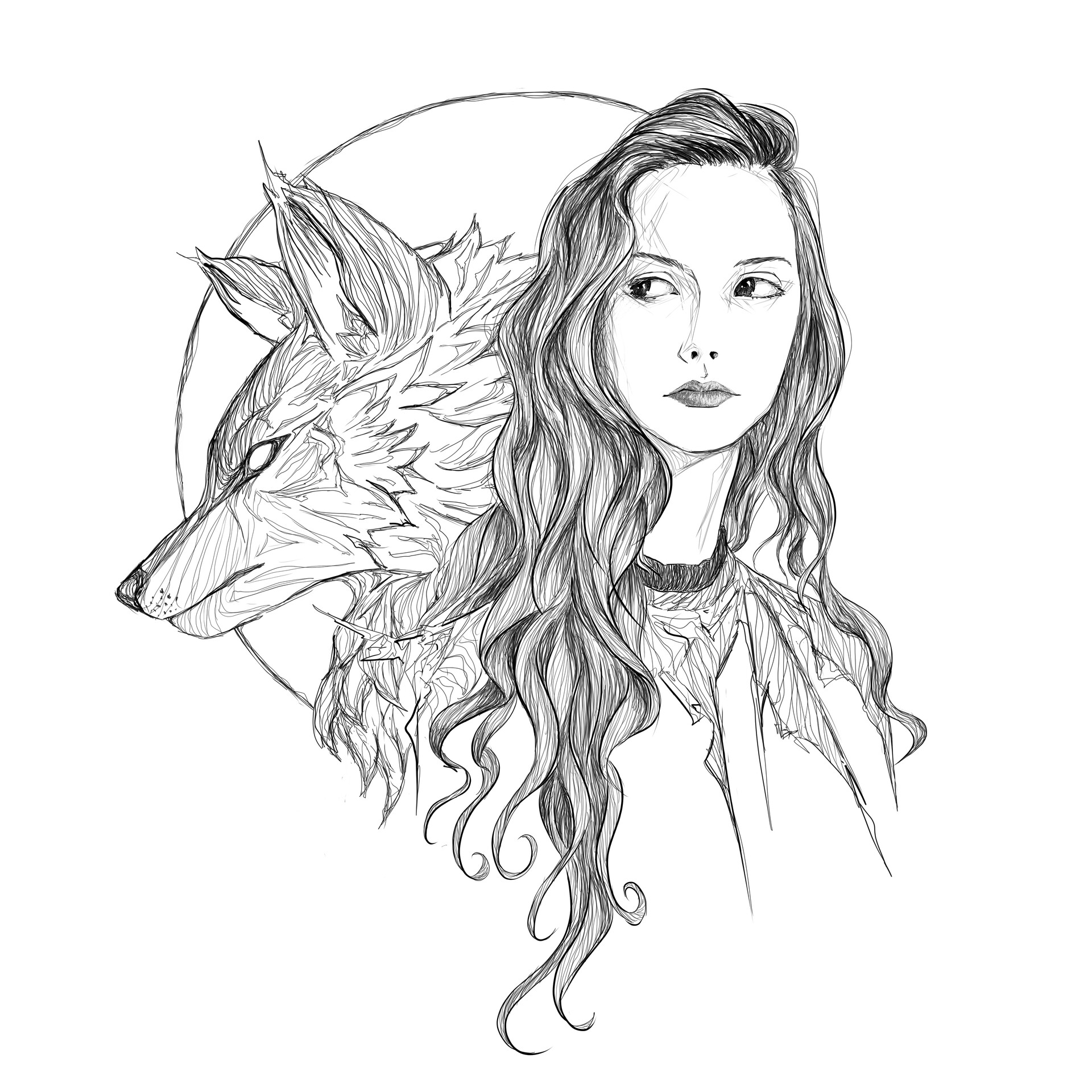 Half Girl Half Wolf Drawing