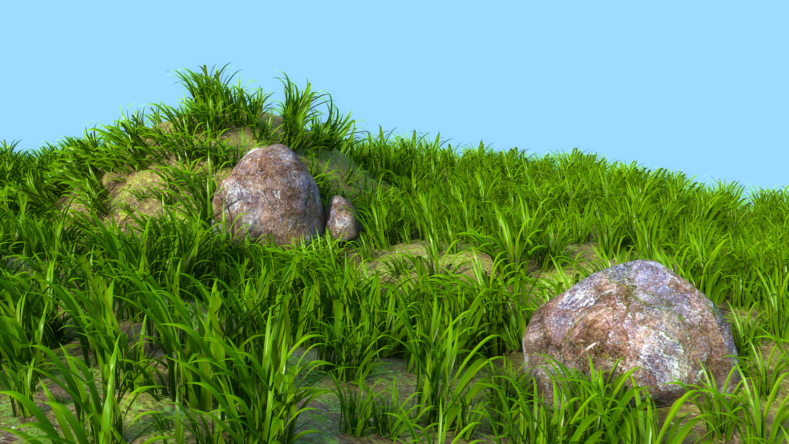 Sai Visuals developed using Software's Like Autodesk Maya, Vray and