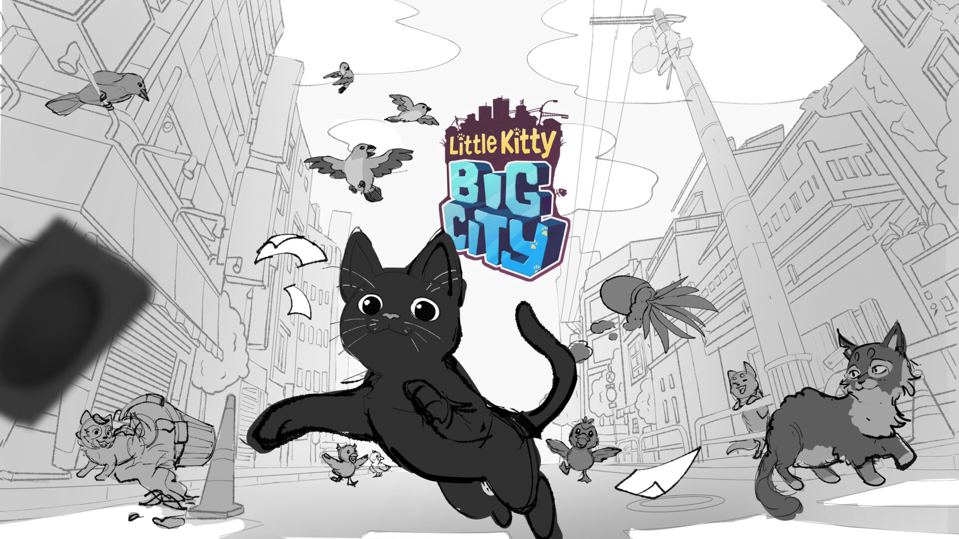 Big store little kitty