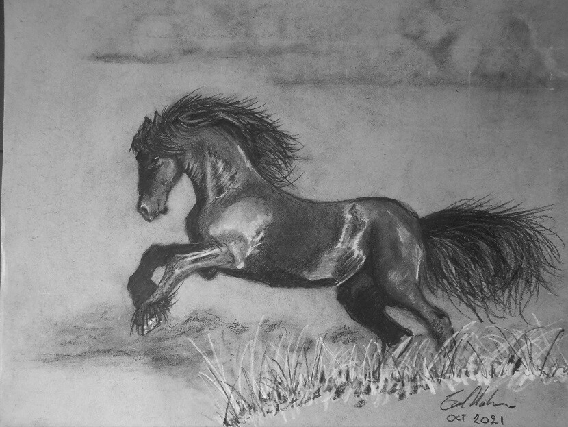 ArtStation Charcoal Horse