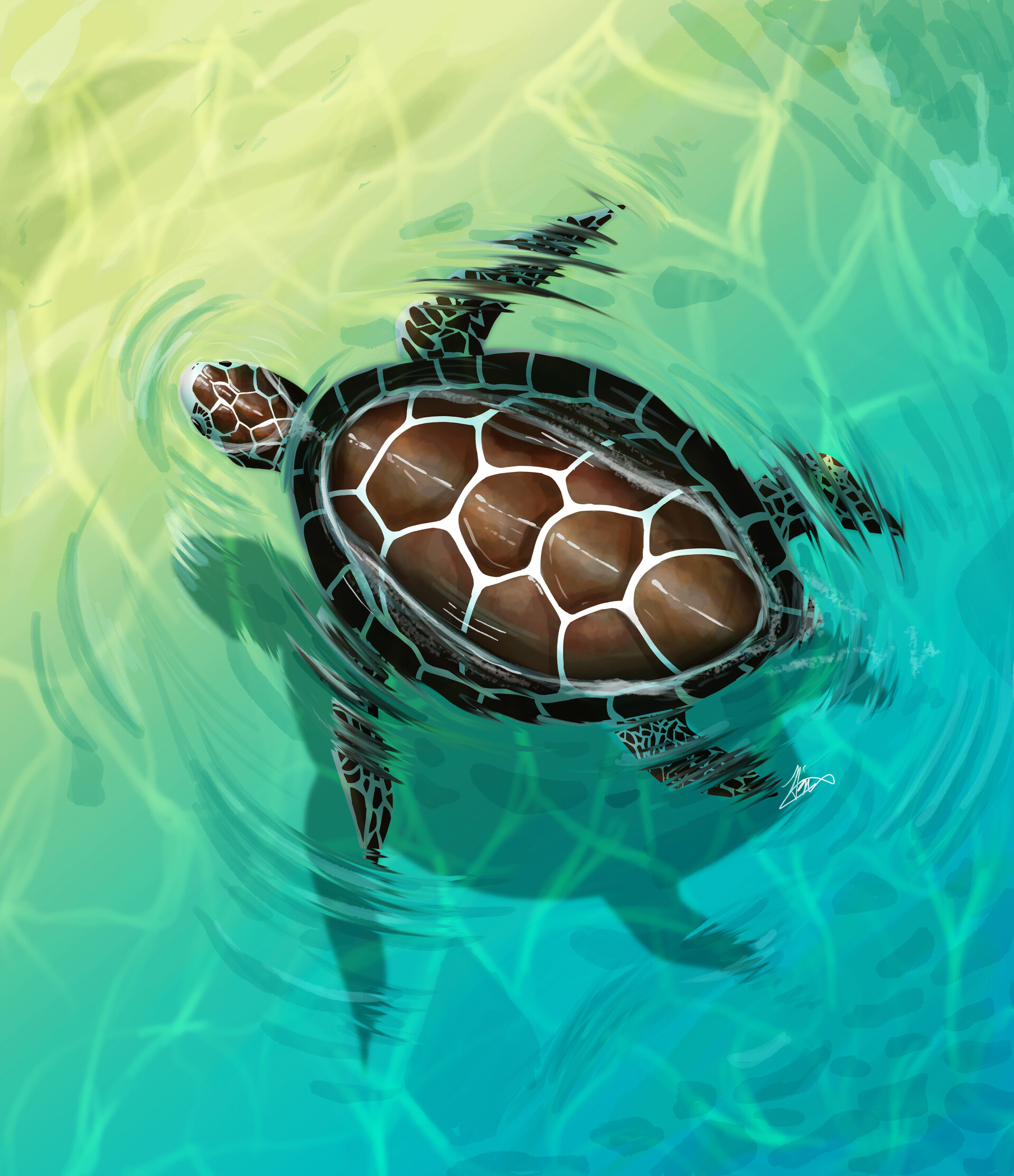 ArtStation - Tropical Turtle