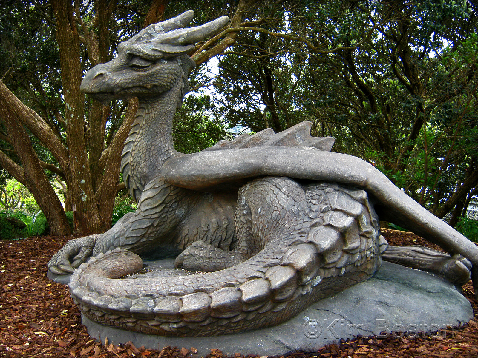 A lifesize gentle, elderly dragon sculpture, basking in a warm patch of sun.