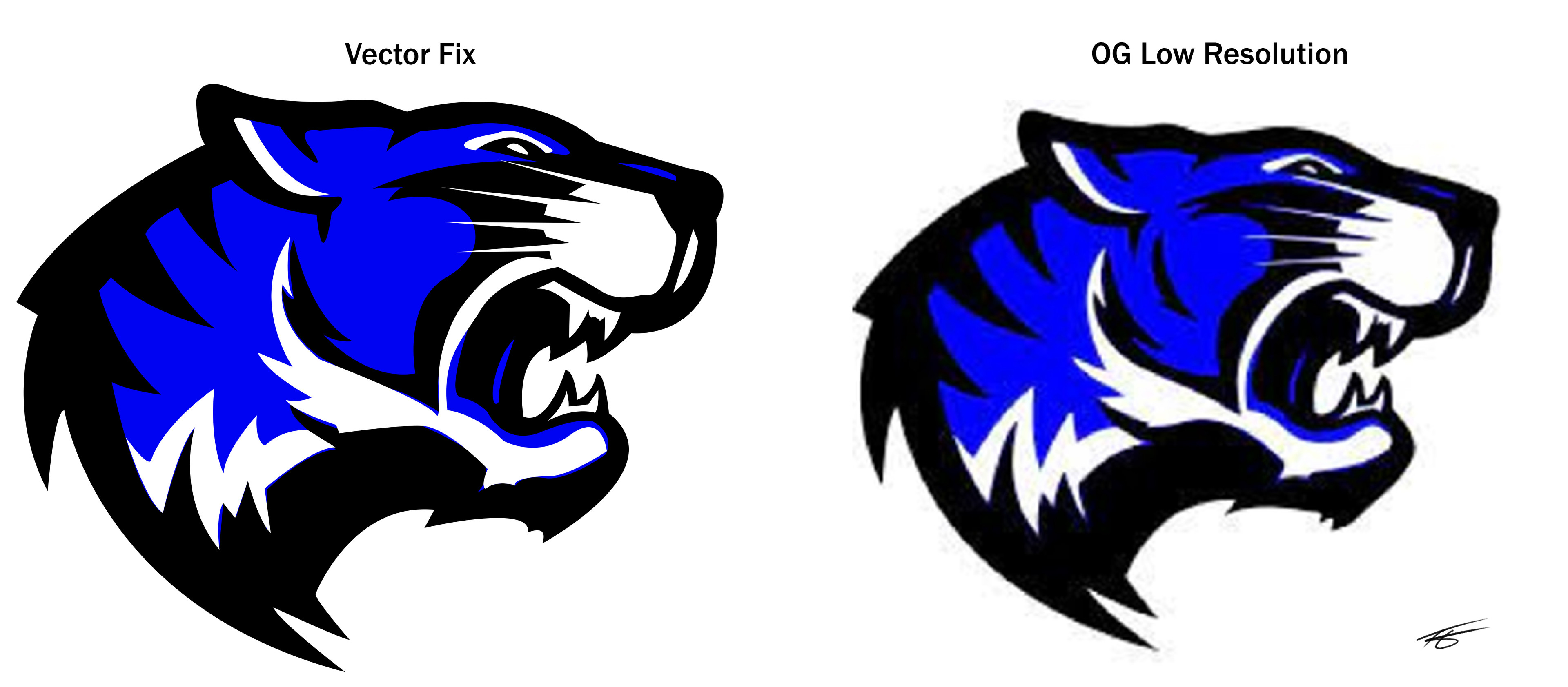 Tiger Head Fix