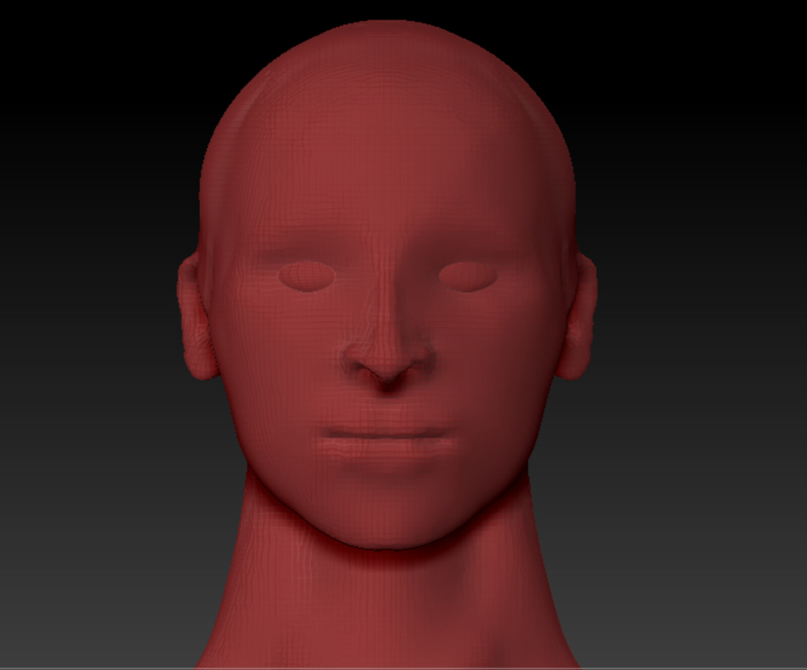 Head sculpt, front view 
