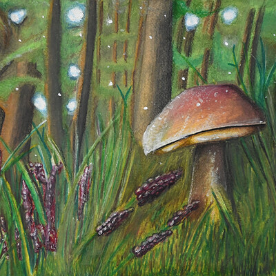 Forest Mushroom - Colored Pencil Drawing