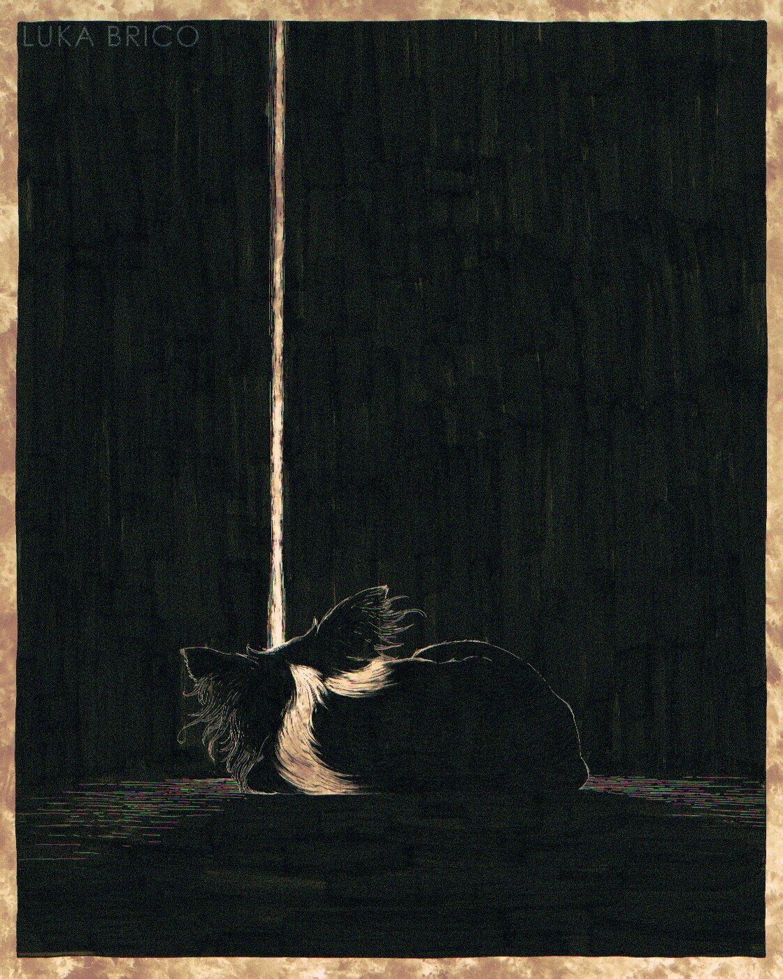 Seeking the Light
