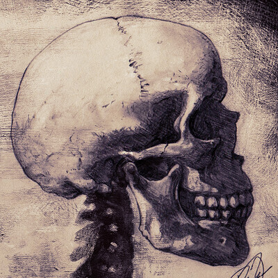 Cranium Study