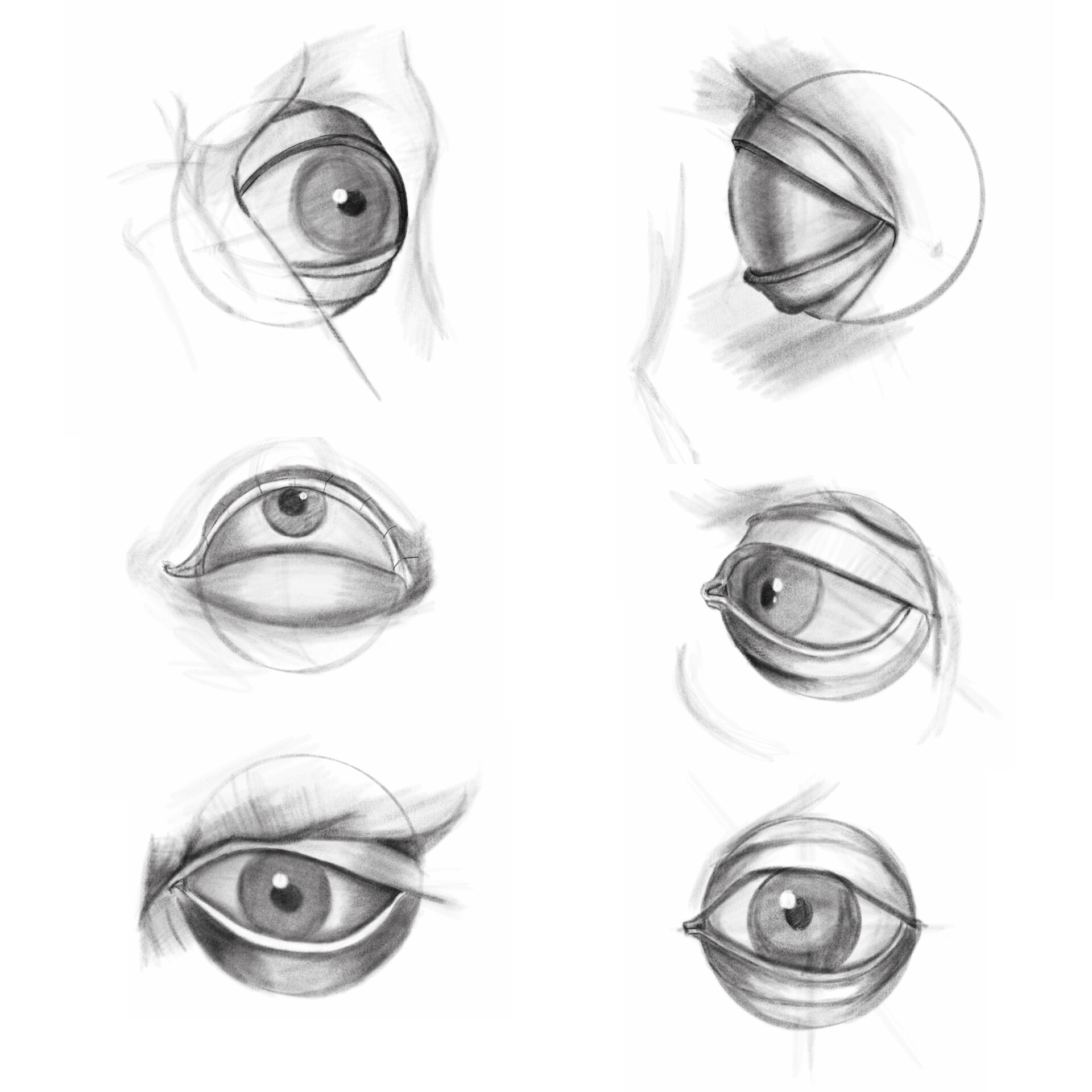 ArtStation - Eye Studies | Anatomy