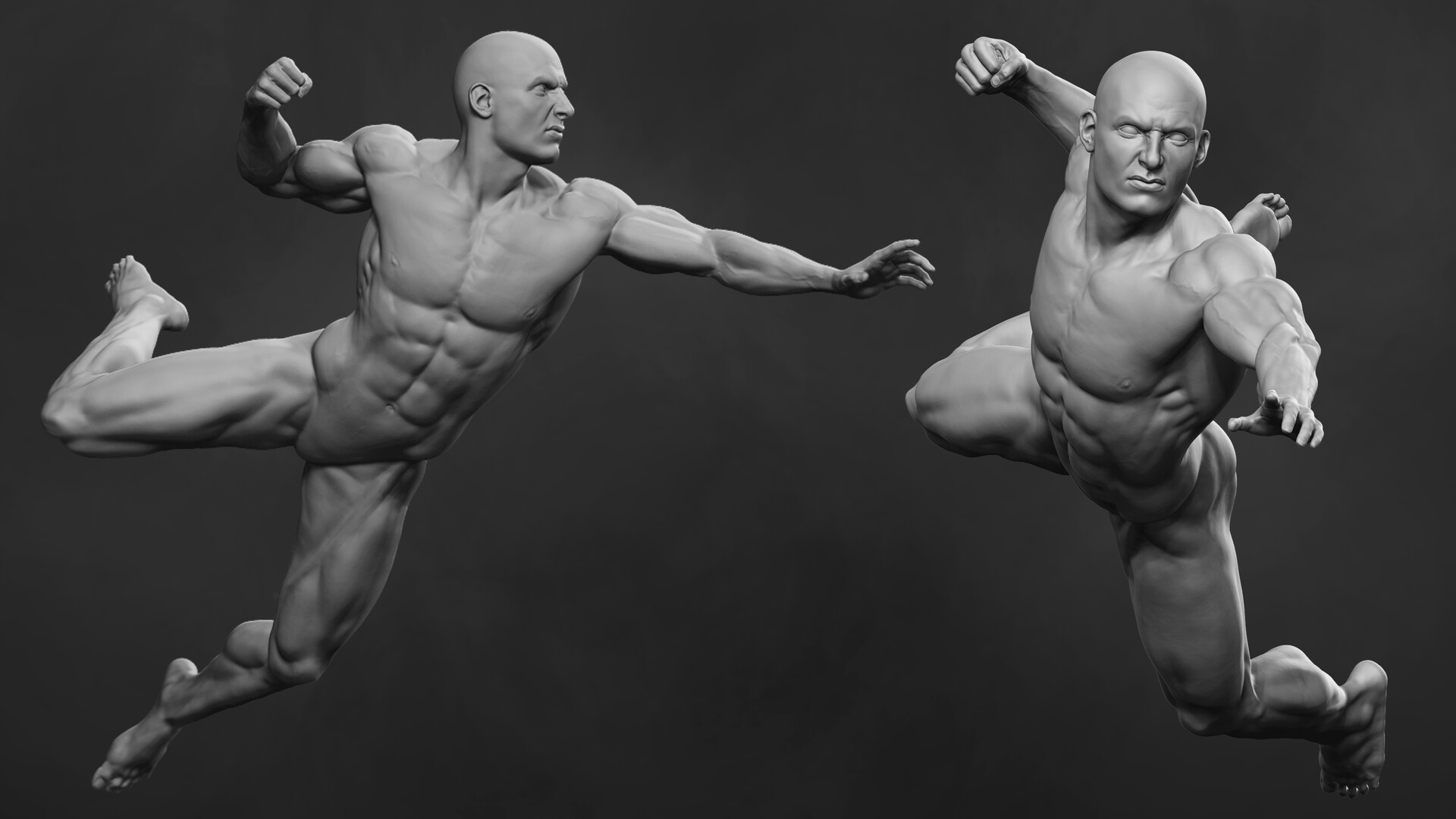 Dynamic Anatomy Course Biology Diagrams