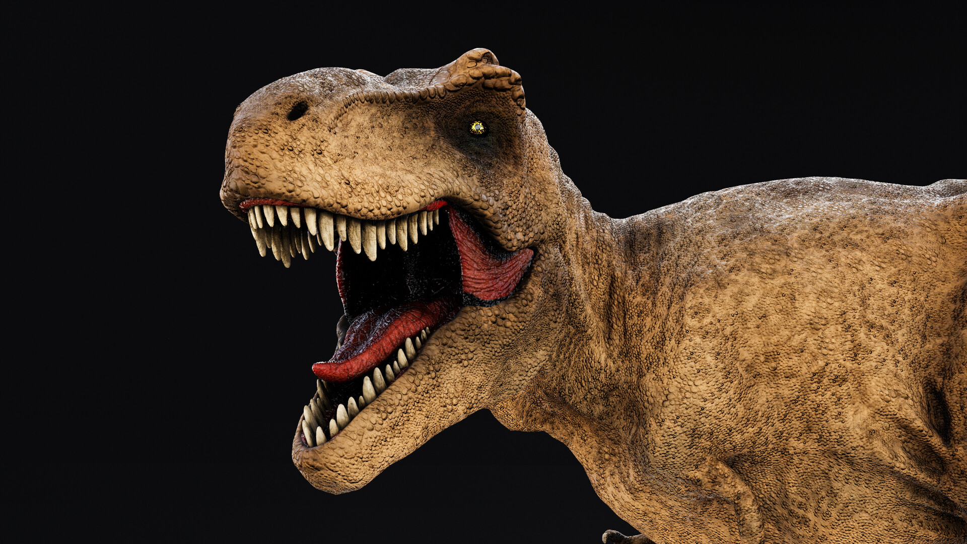 ArtStation - Tyrannosaurus rex photorealistic - First project completed