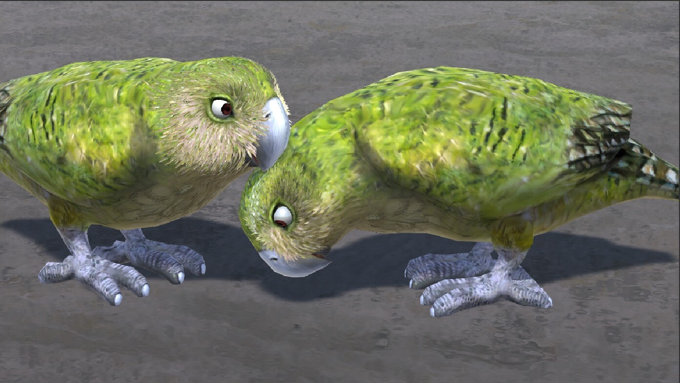 Kakapo