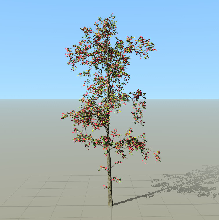 Sapling Tree (removed content):
I had little time left for the deadline to submit a final image, so I decided to not include this tree in my scene.