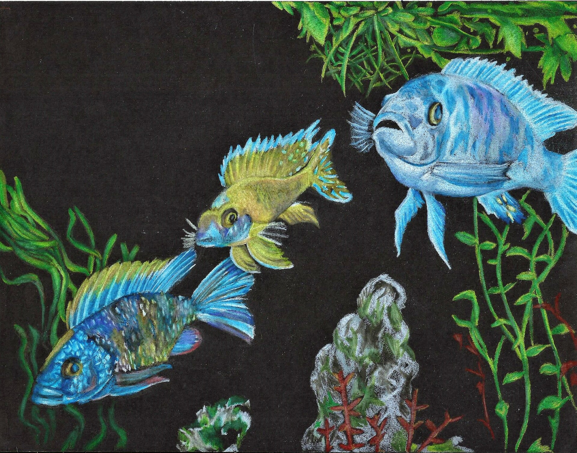 ArtStation - Fish Drawing