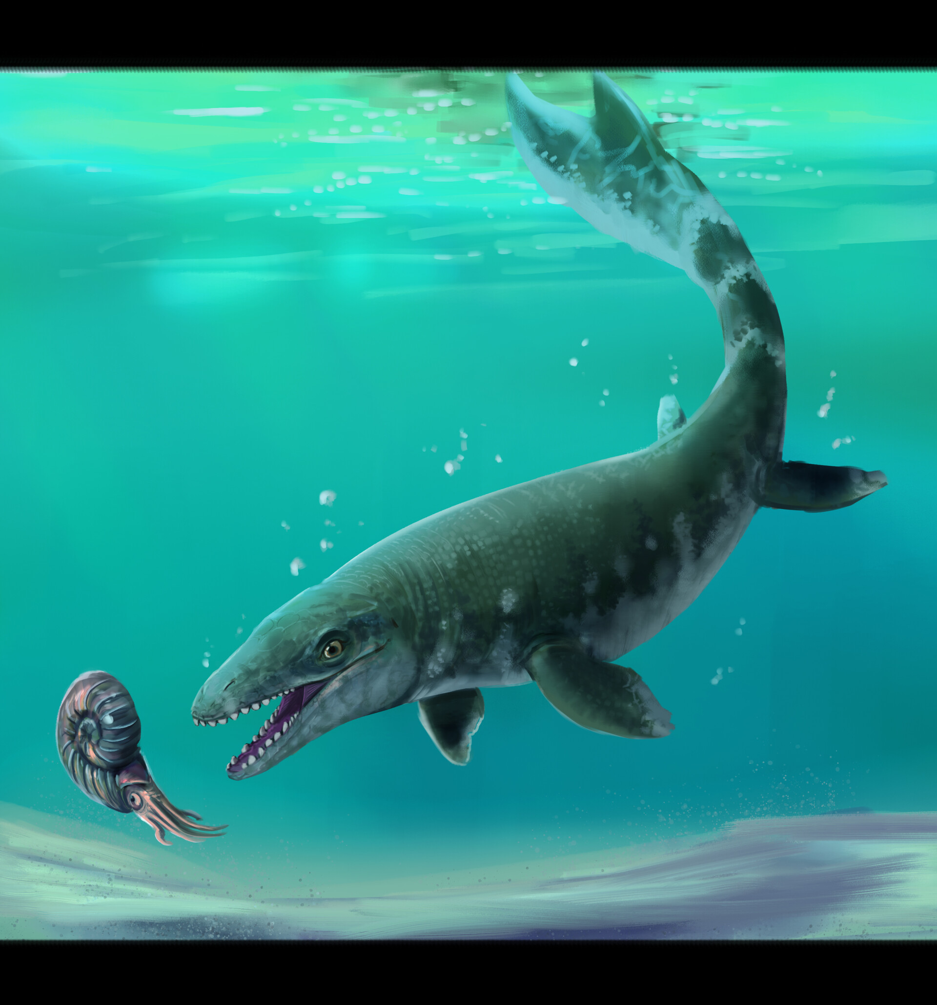 Globidens Hunting Ammonite By James Kuether/science Photo, 60% OFF