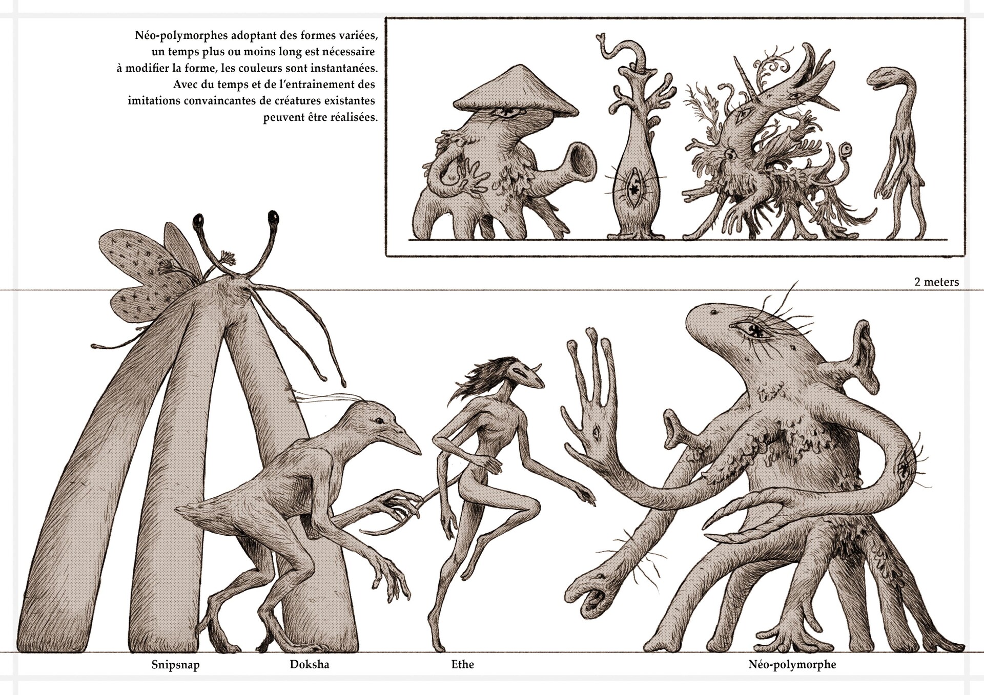 Polymorphe inspired by Jeff Vandermeer "Borne" creature. A strange biotech/post apo book. Awesome.