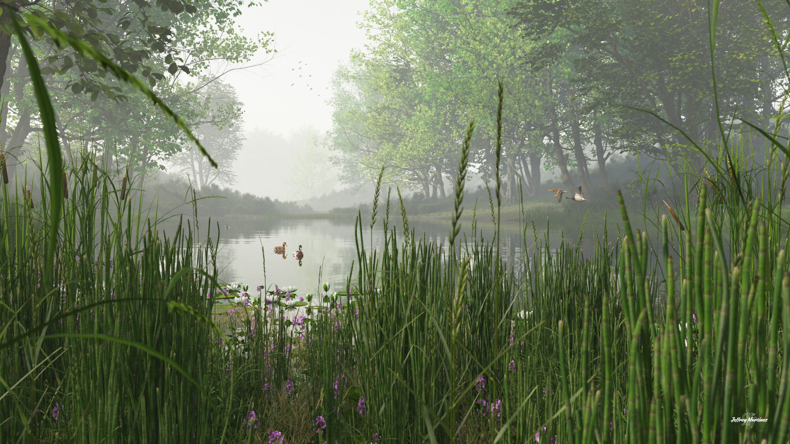A Quiet Little Pond
20211115TG