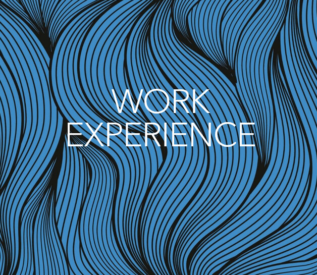 ArtStation - Work Experience