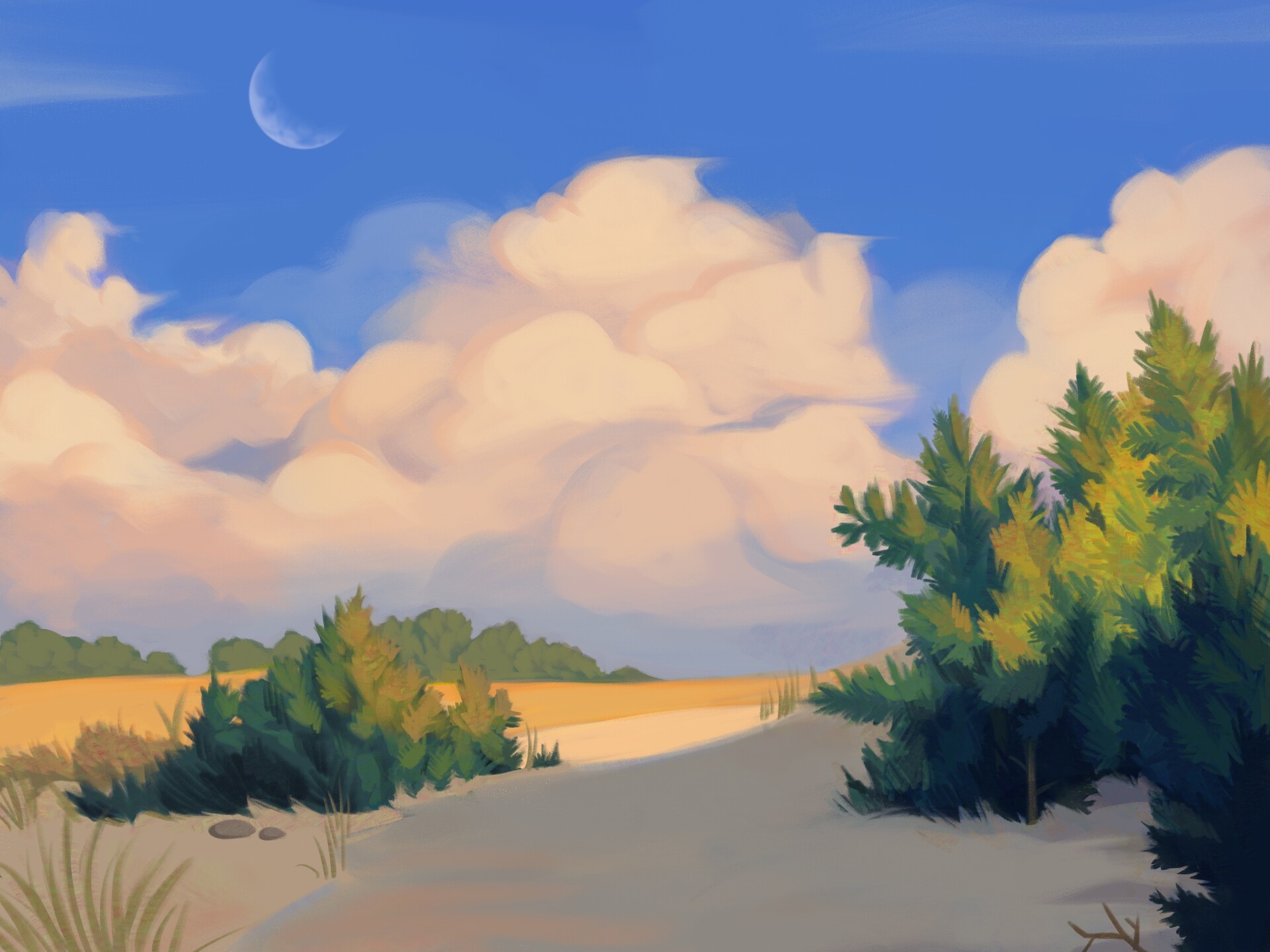 Grace Healy Sunny Afternoon