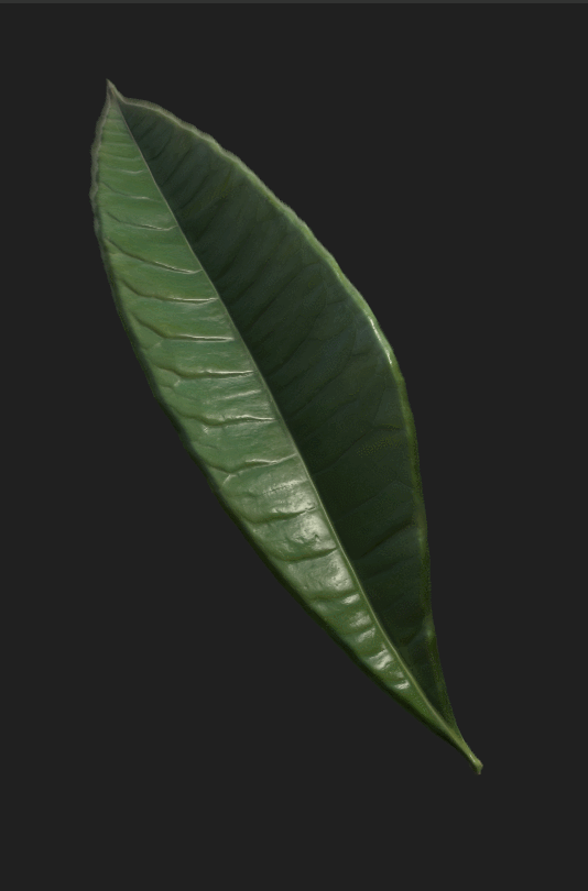 How the singular leaf looked in Substance Designer after a lot of work on top of the base photo.
