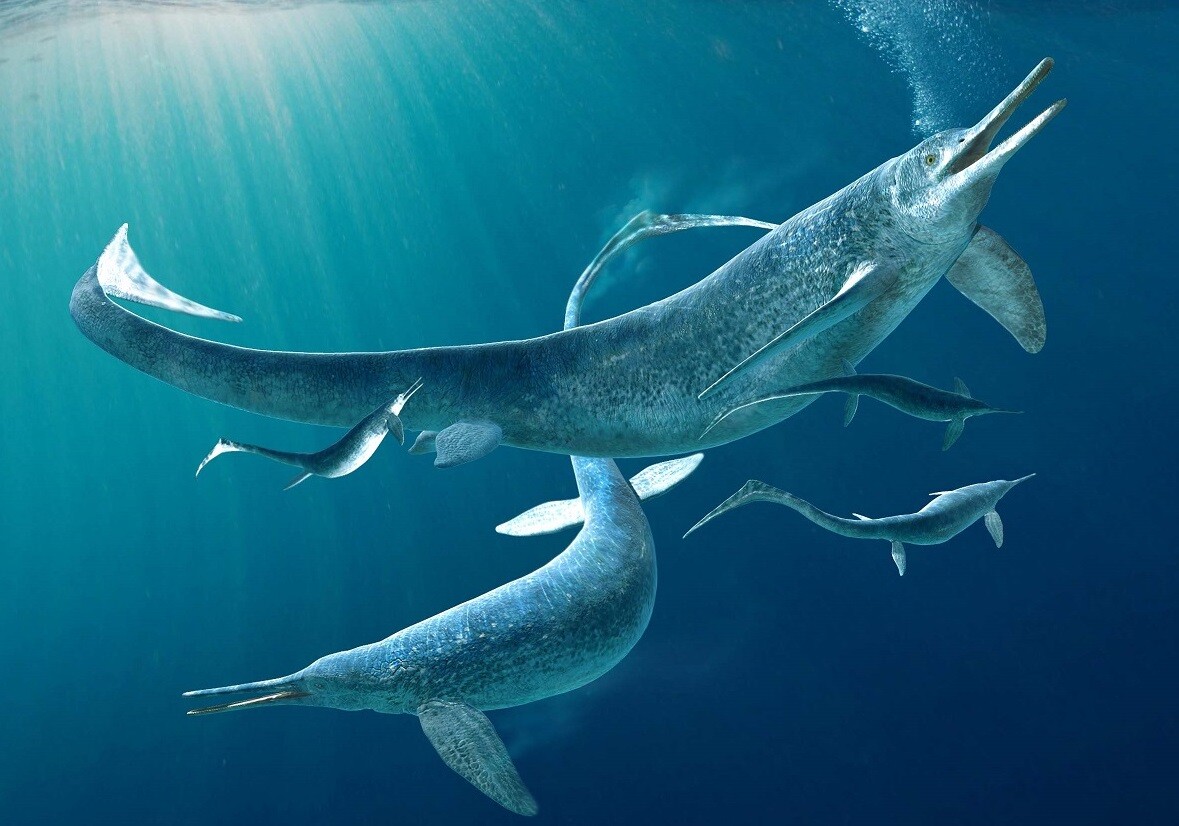 ArtStation - Besanosaurus