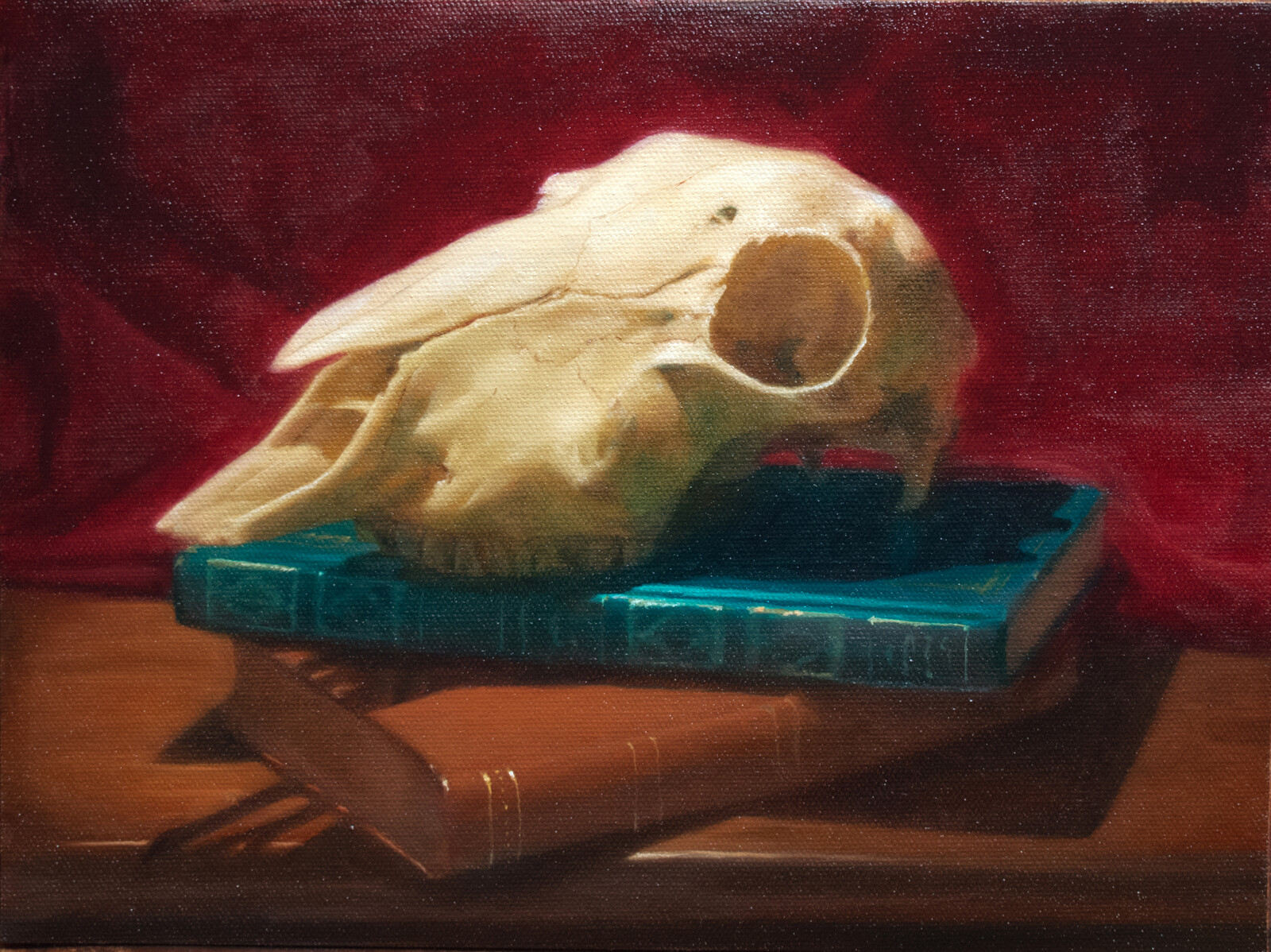 Layered Painting study - Skull