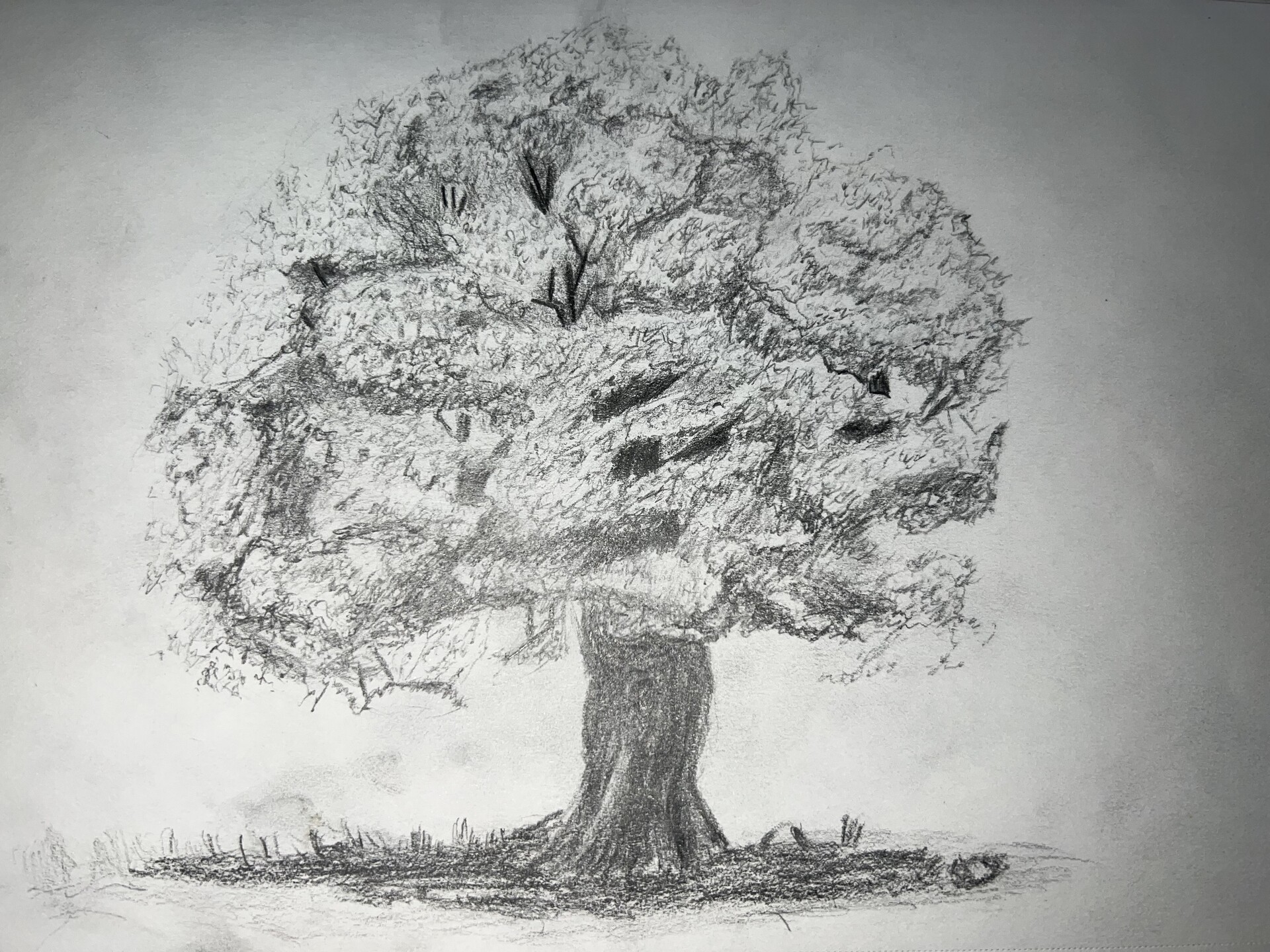 ArtStation - Oak Trees