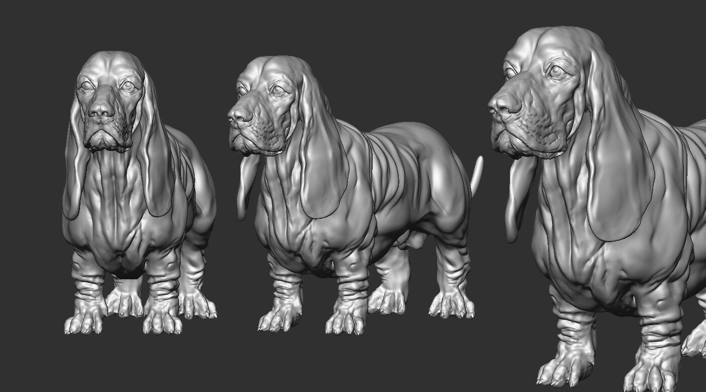 Dwarf mastiff online