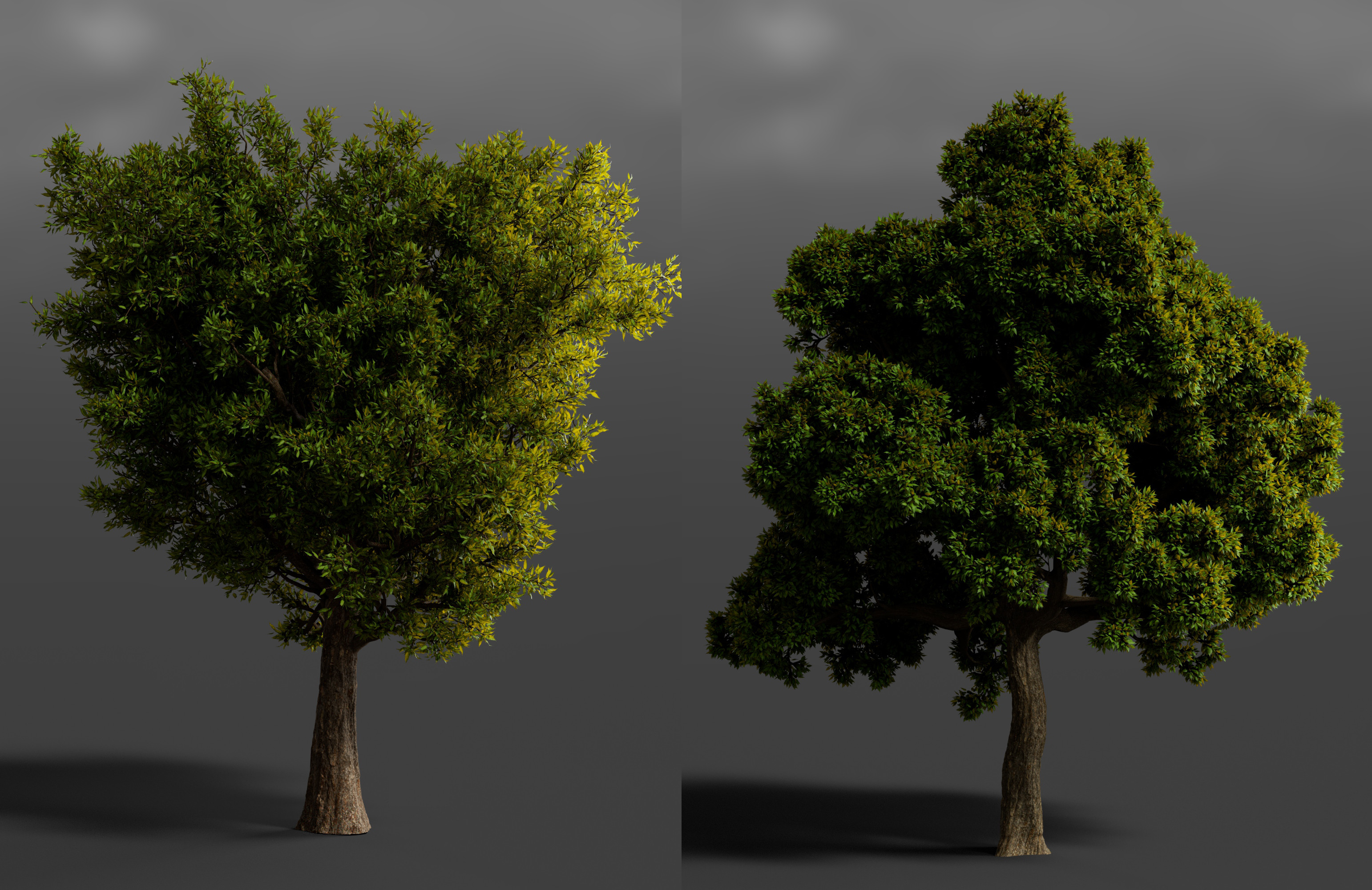Tree LKD