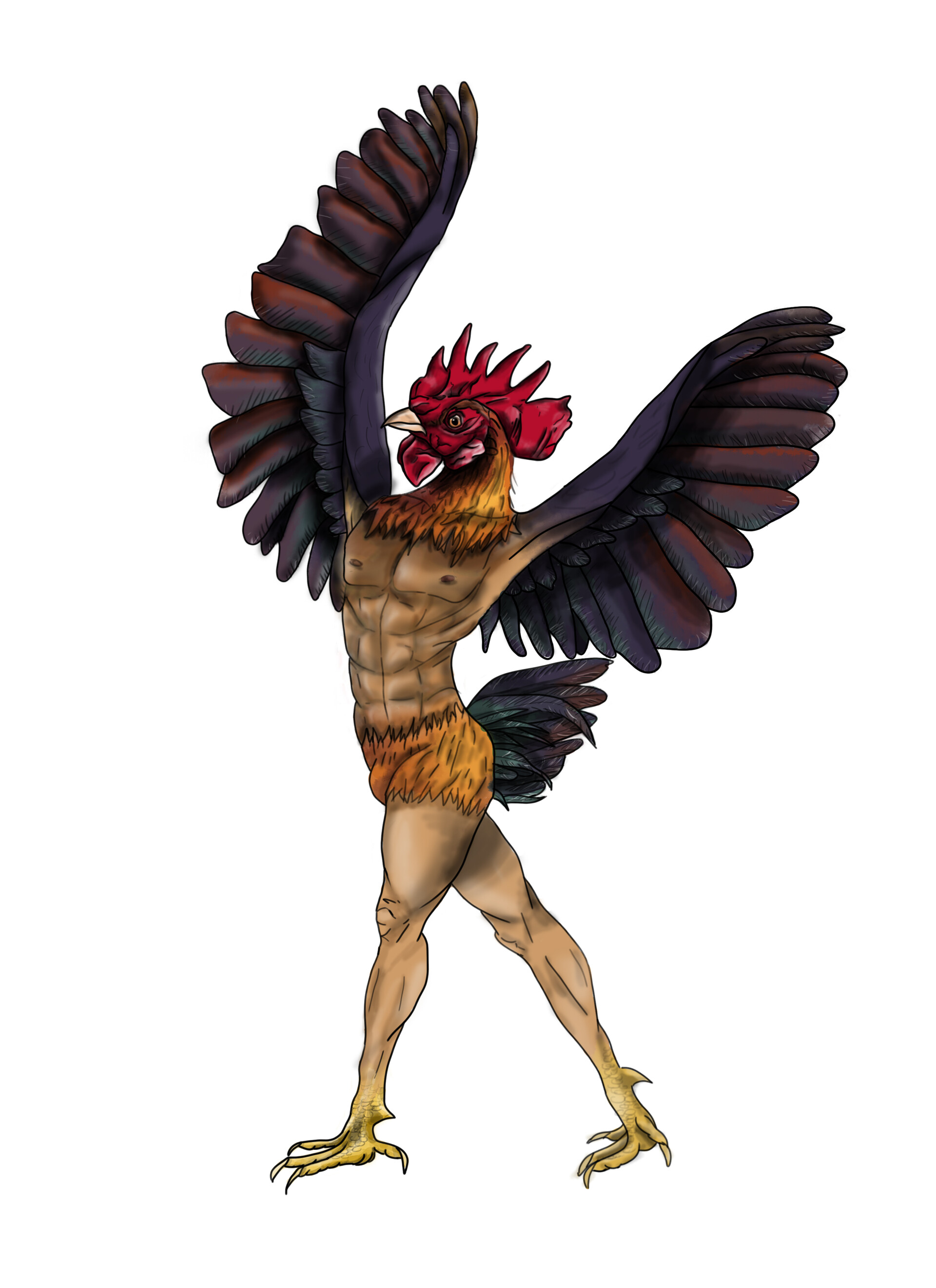 Homme coq 2025