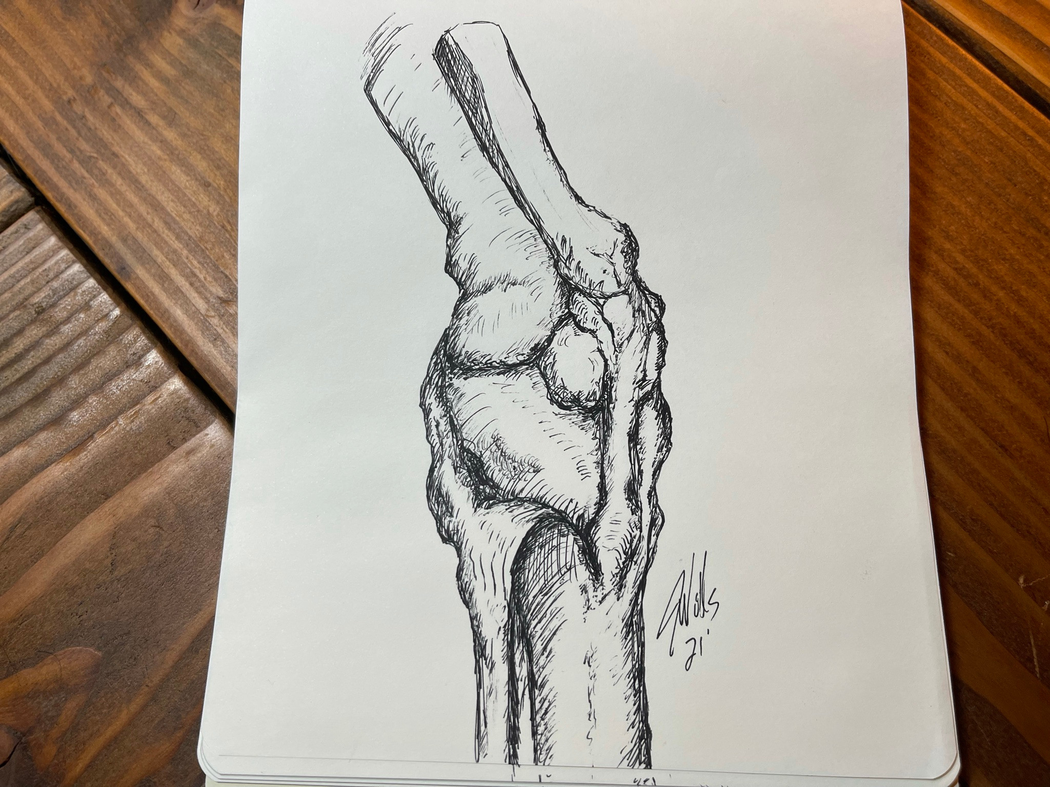 Bridgman Ink Study