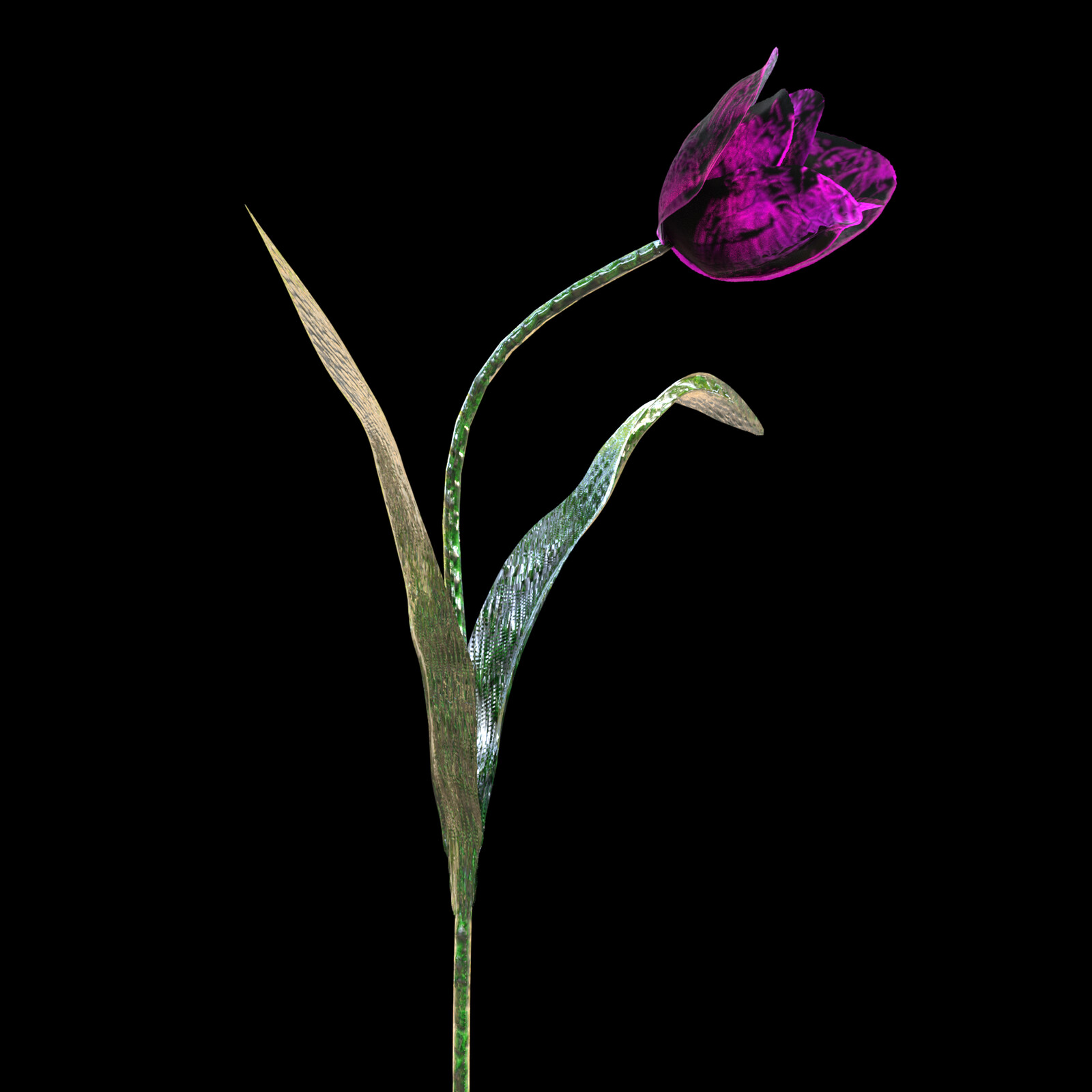 Tulip Goth