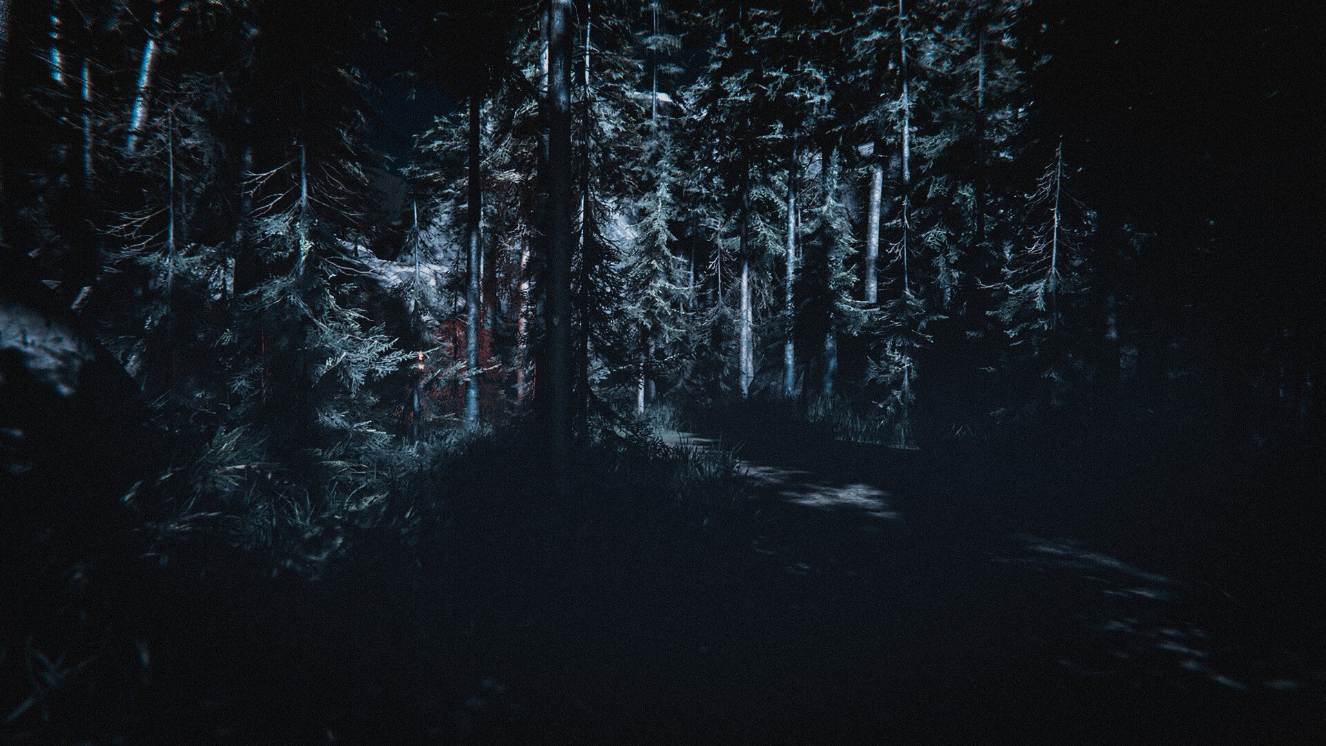 ArtStation - Night Horror Forest | Lighting (Unity)