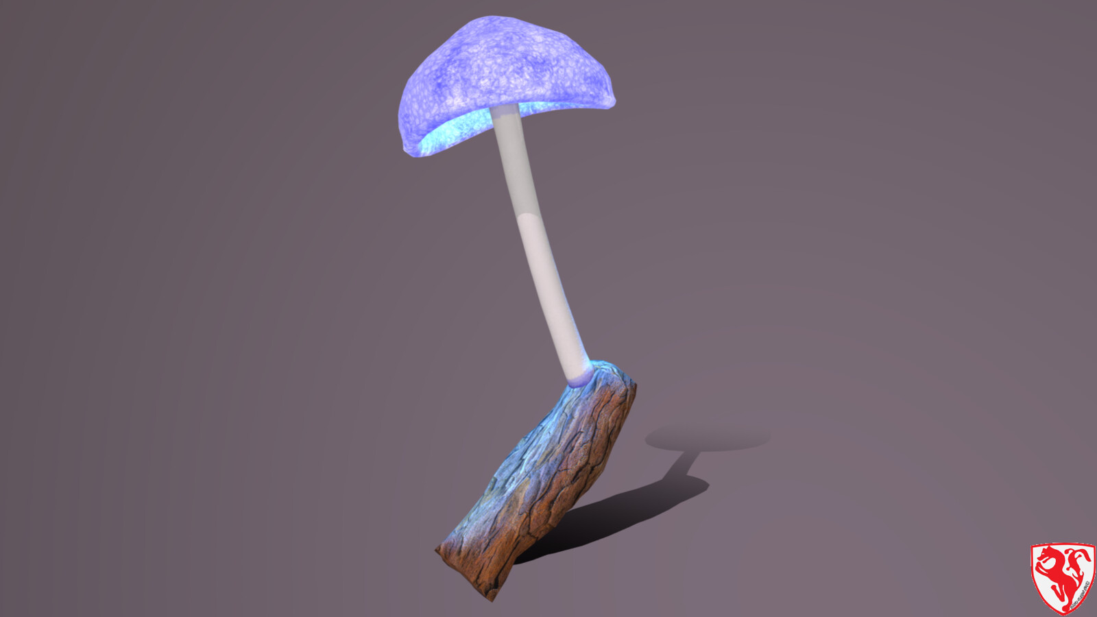 MUSHROOM - 3December 2021 Day 1