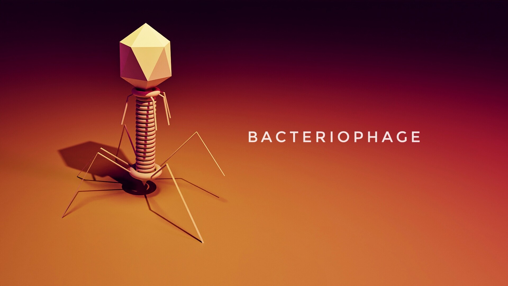 10 Free Bacteriophage  Phage Images  Pixabay