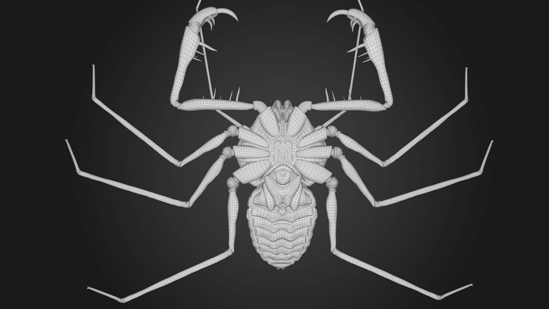 luis-luna-african-cave-spider