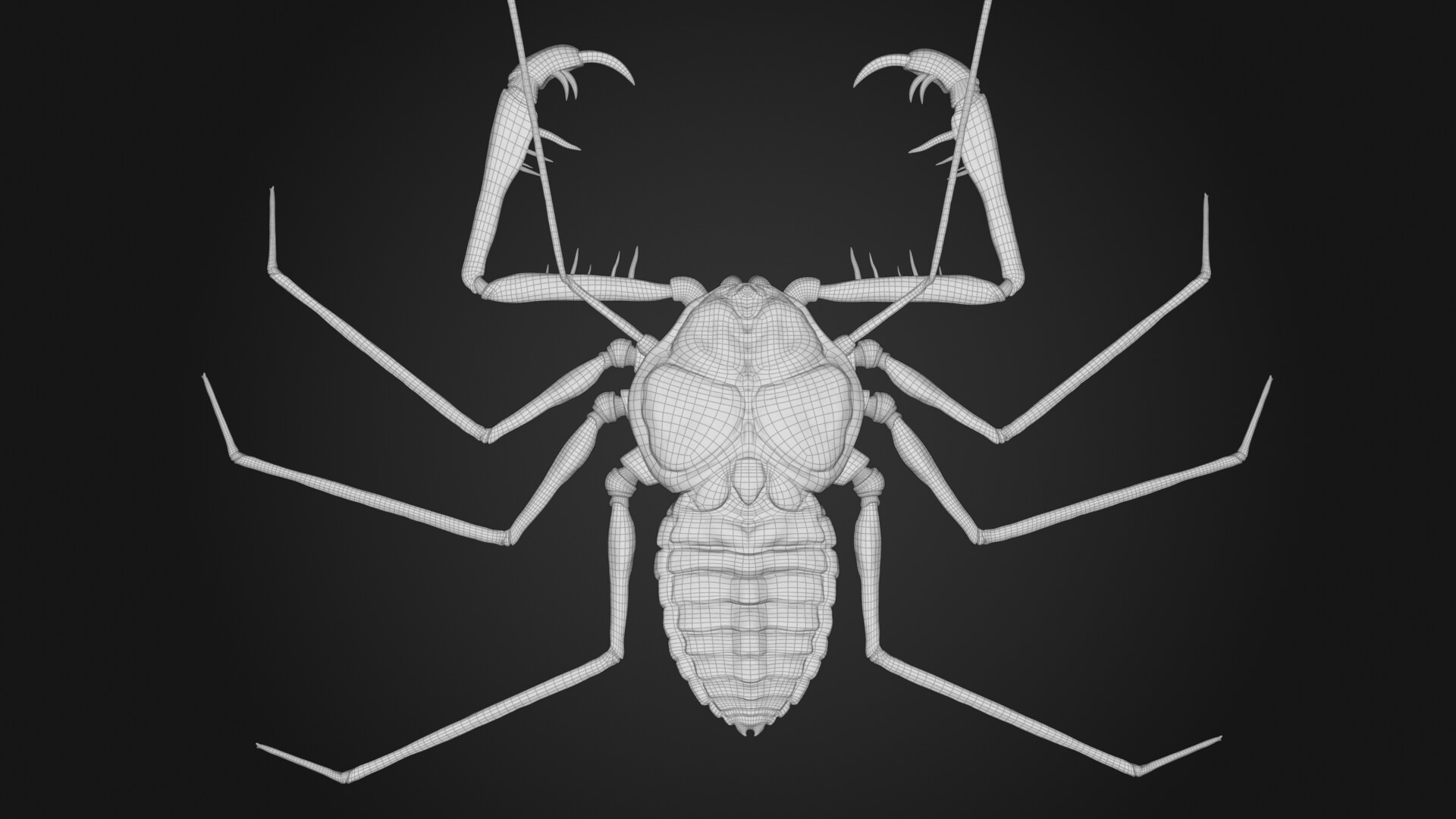 Luis Luna African Cave Spider luis-luna-african-cave-spider