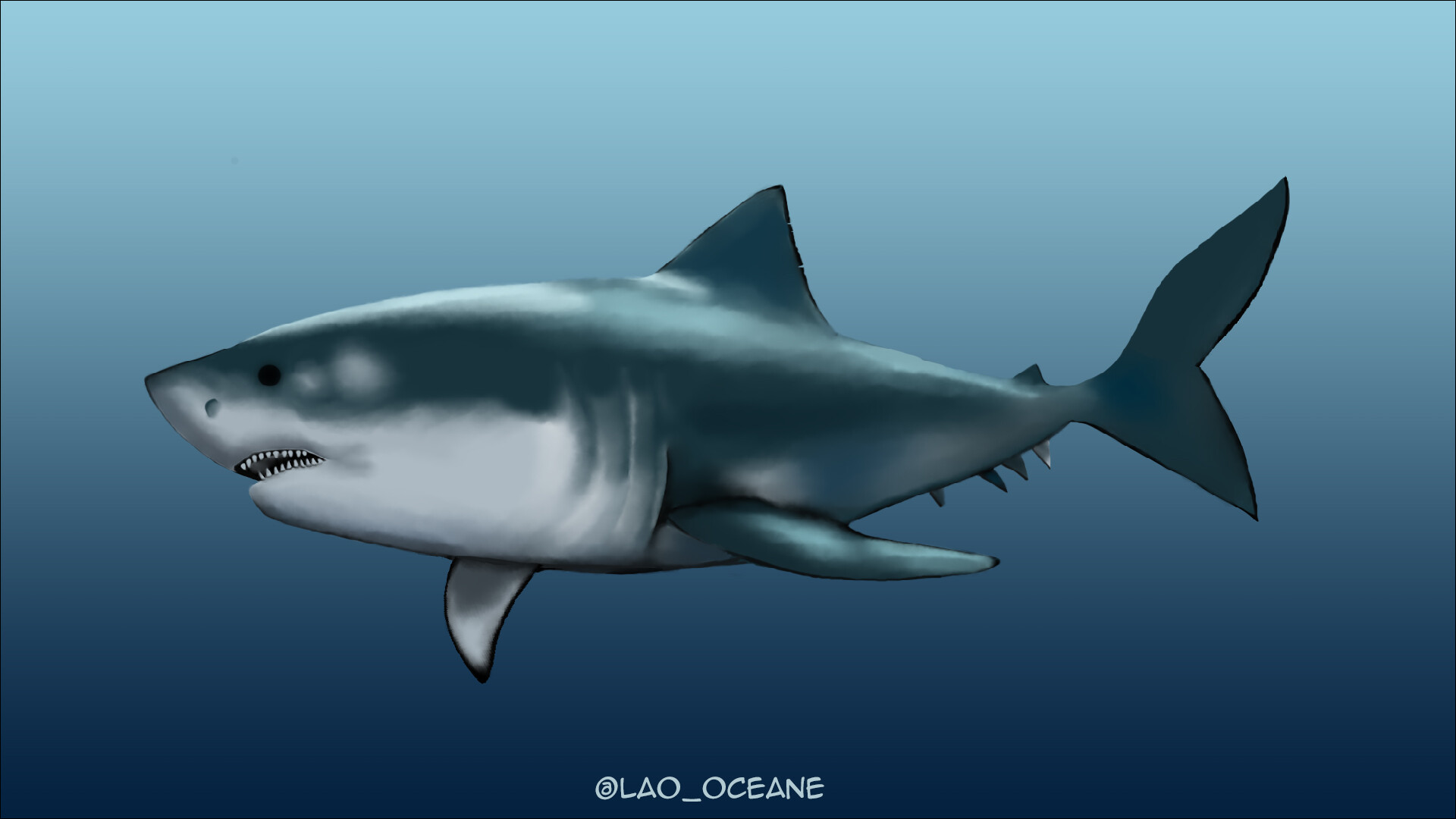 ArtStation - Shark