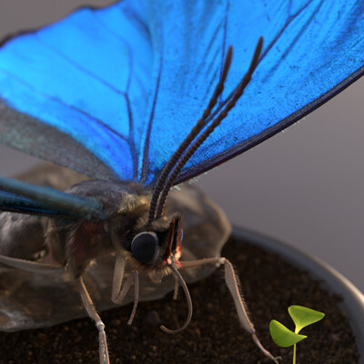 Camille lecture 3d2a lecture camille insect closeup 2