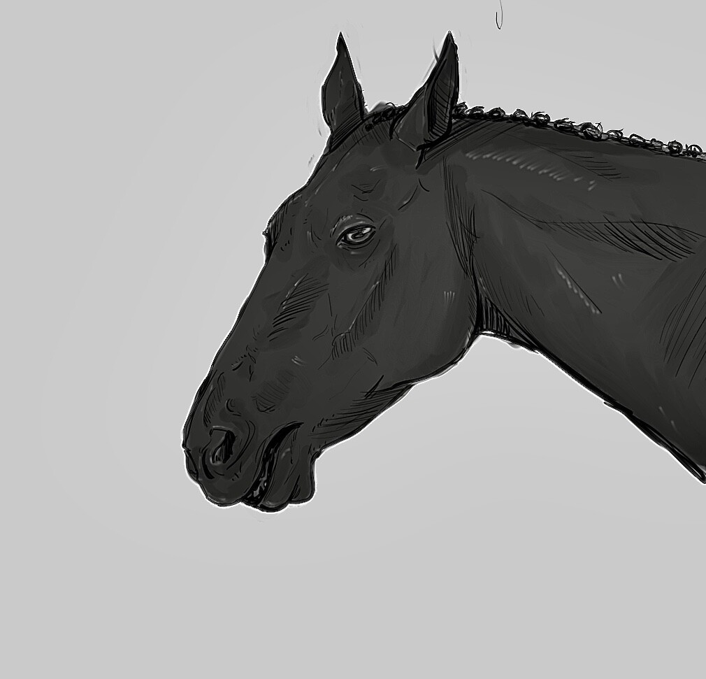 ArtStation - dark horse
