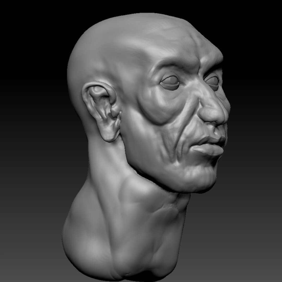 ArtStation - Sculpting Male Faces in ZBrush