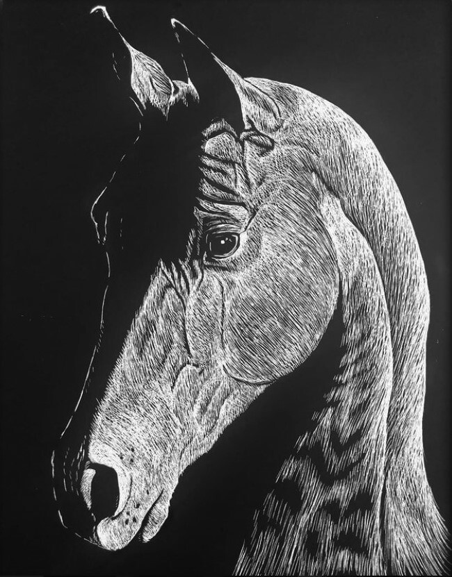 ArtStation - Horse scratch art