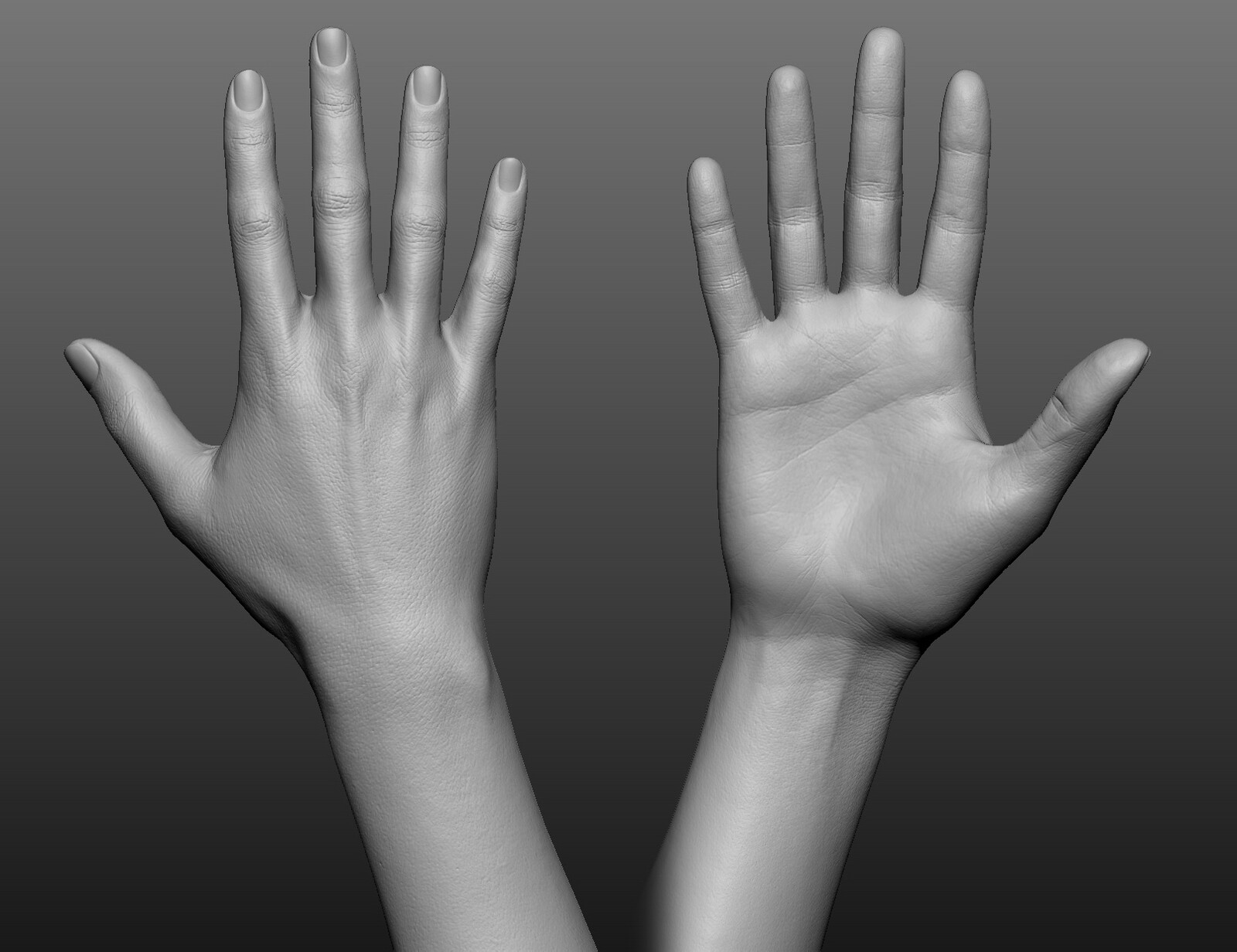 I resurfaced the entire model but the face and hands are of course the most important body parts for cinematics.