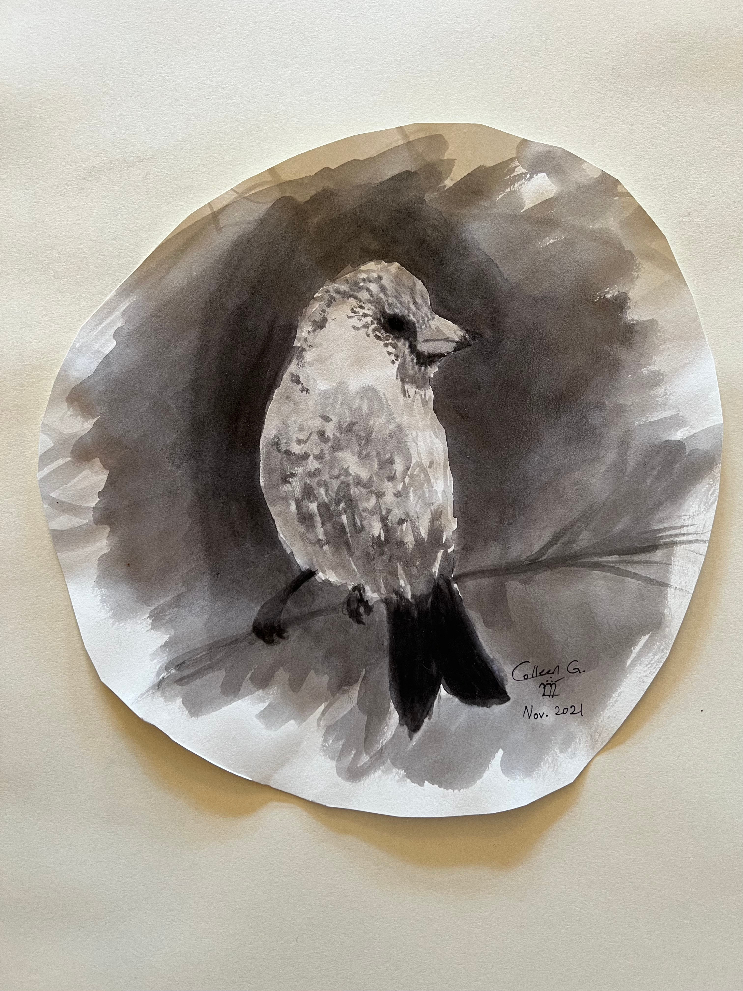 The beginning of wet media! Using only ink, I did a lot of rapid-fire drawings from photo references I got to pick myself (this is a rose finch!)
Time: 10-15 minutes.