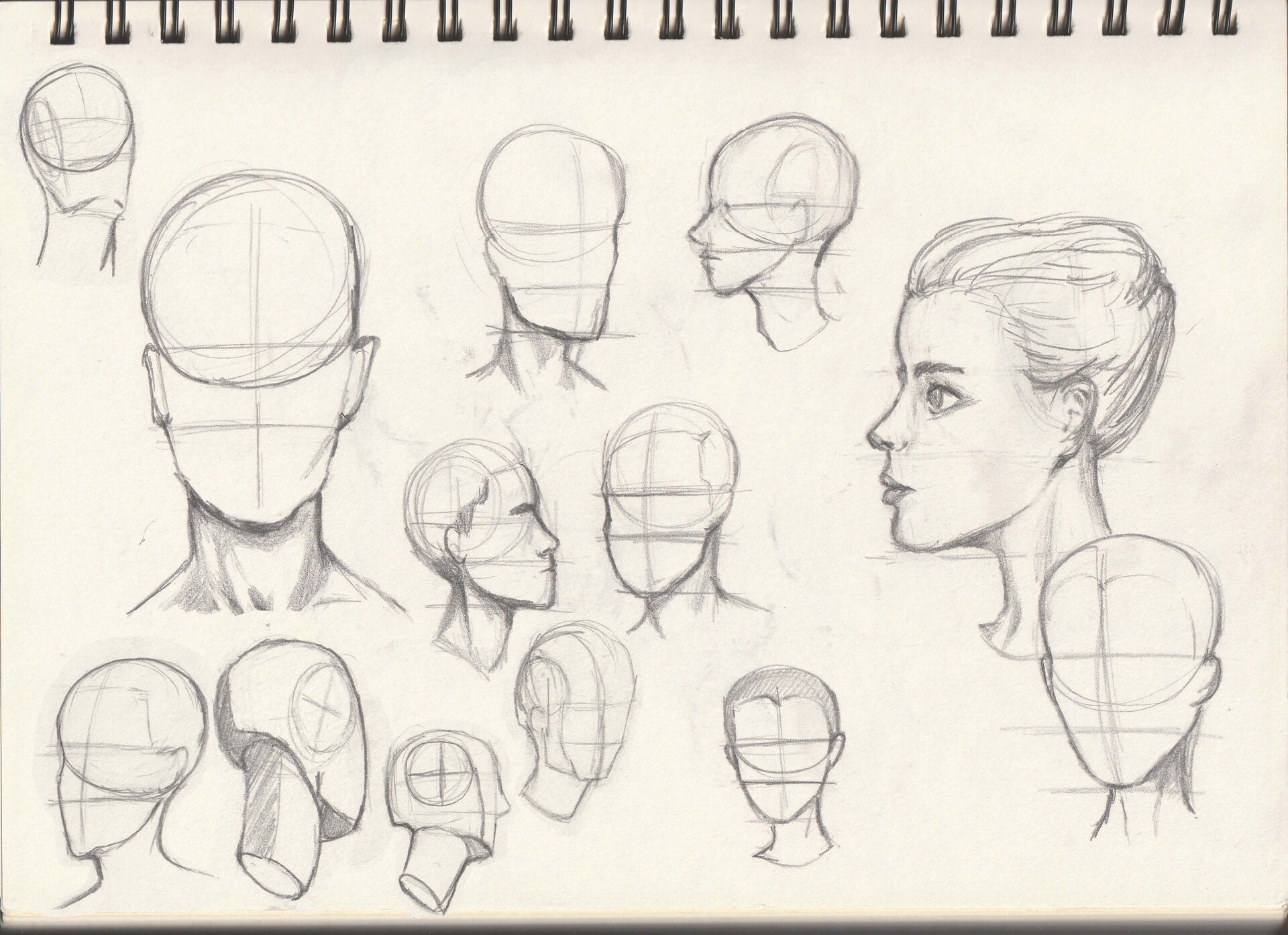 drawing head anatomy