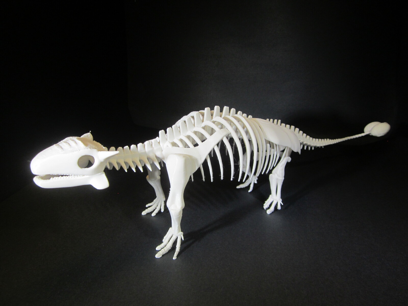 Crichtonosaurs Skeleton