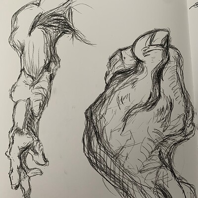 Bridgman Arm-Hand Study