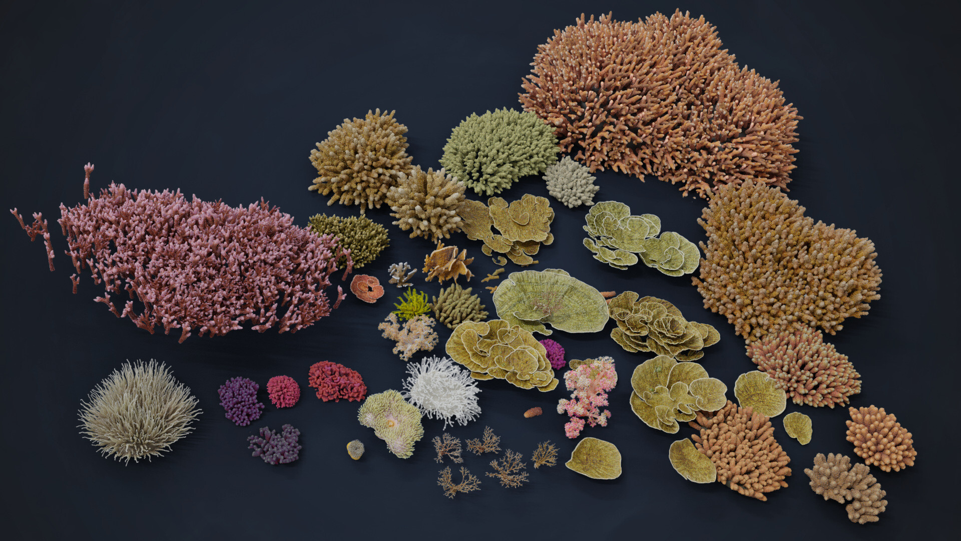 ArtStation Corals Collection