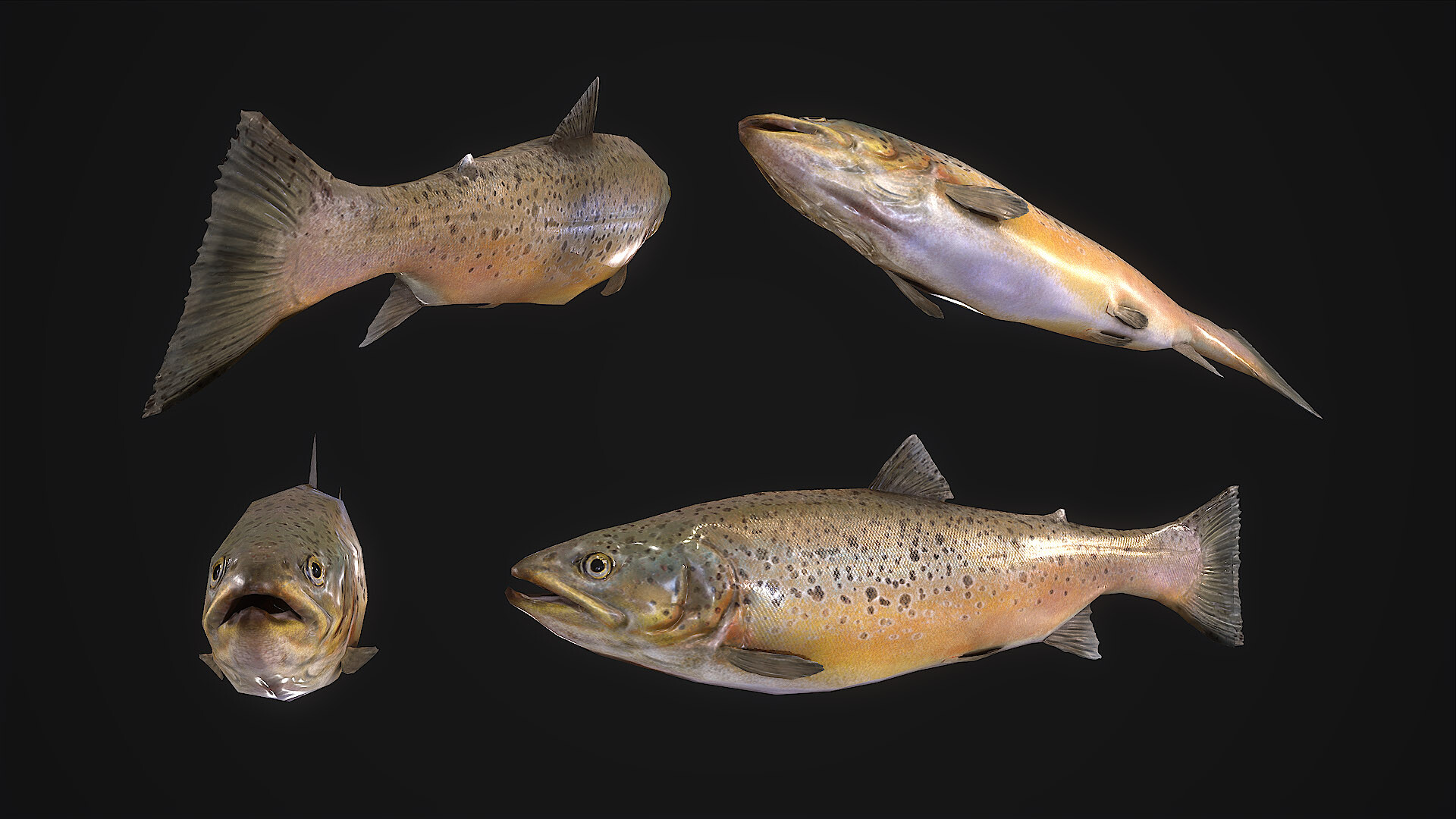 20 фпс. Rust fish. Rust fish. Раст рыбалка. Раст рыбак.