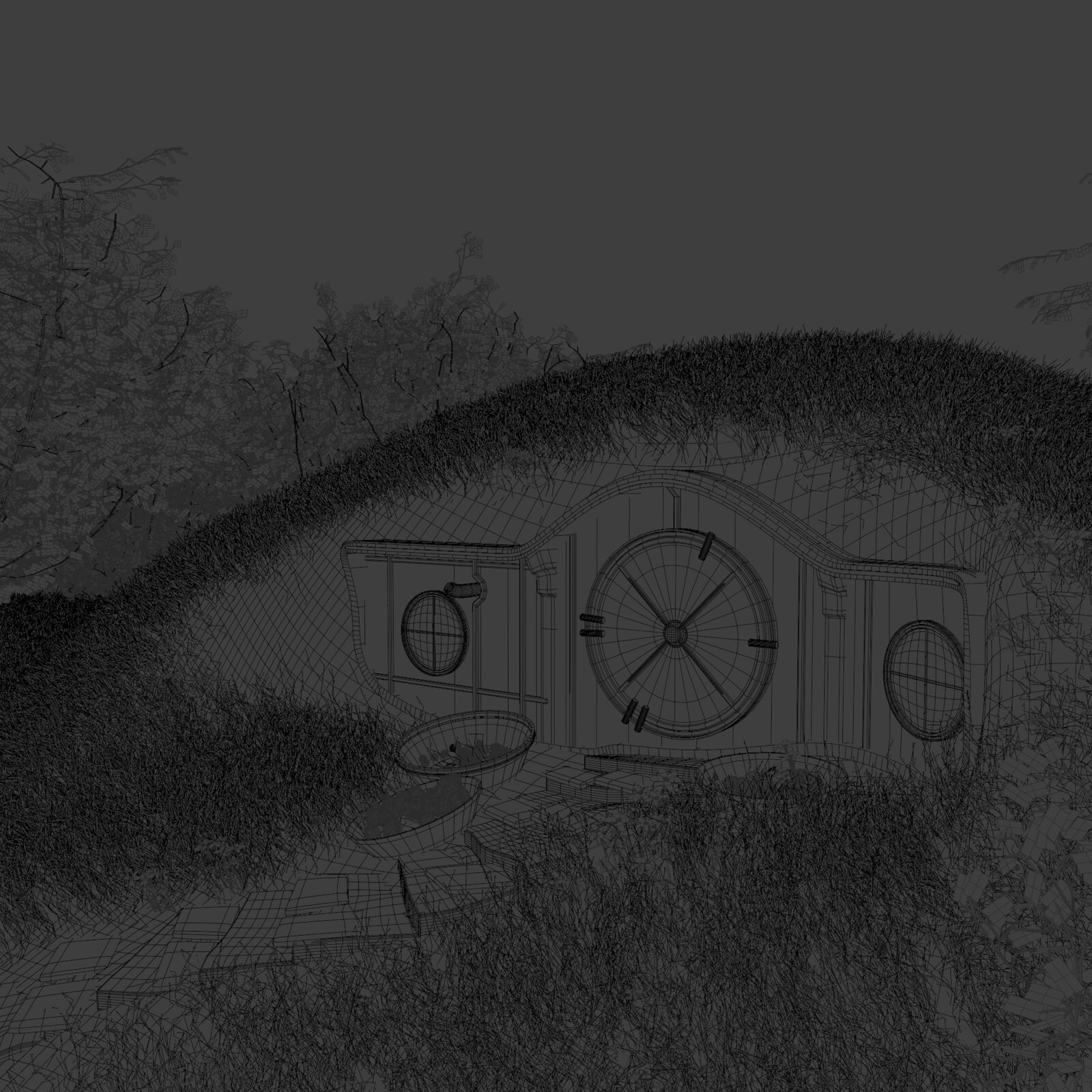 Wireframe Shot