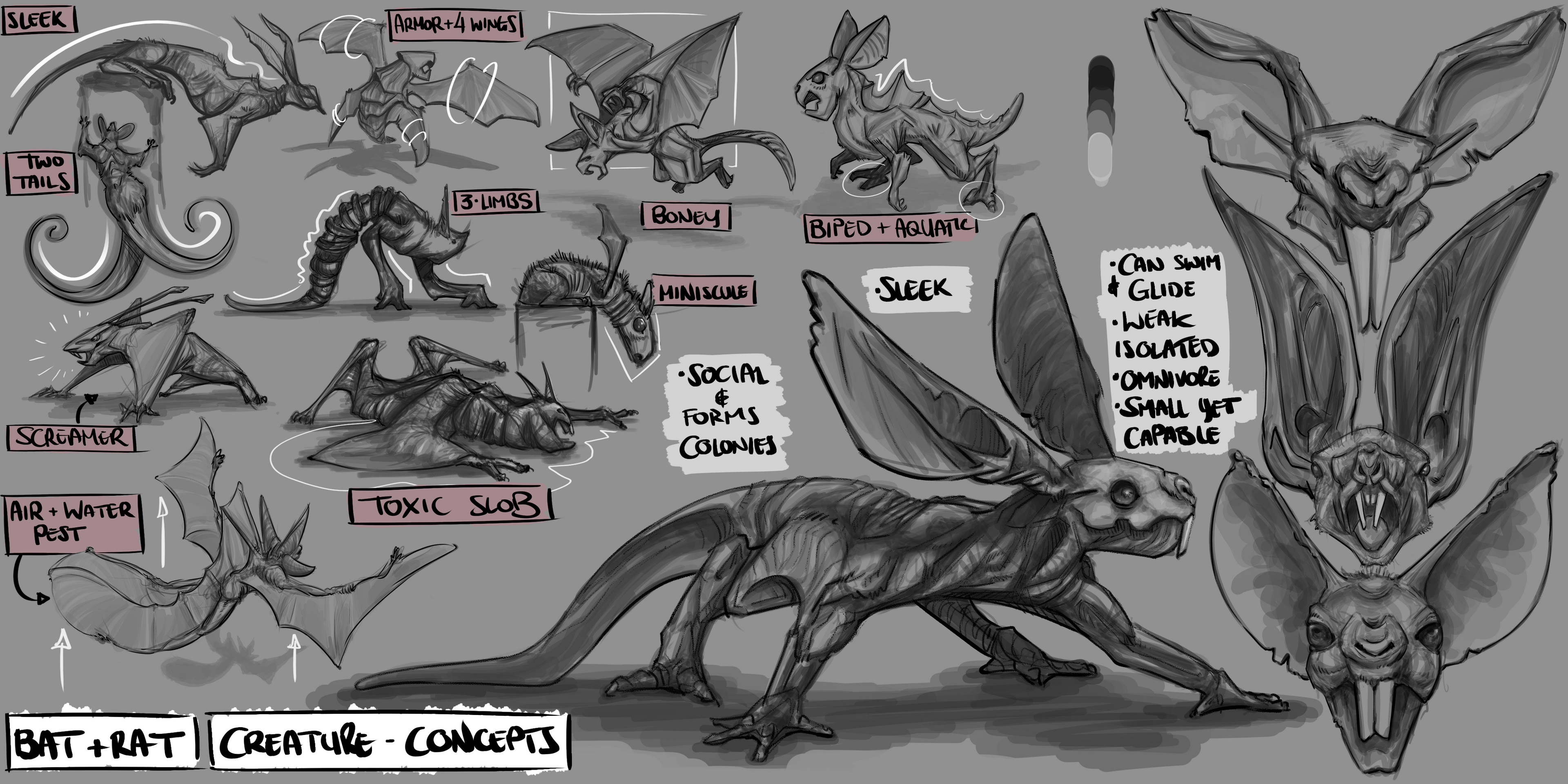 'Screetures' Concepts